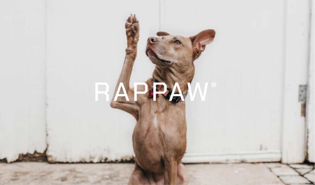 Rappaw logo over image of dog lifting up paw