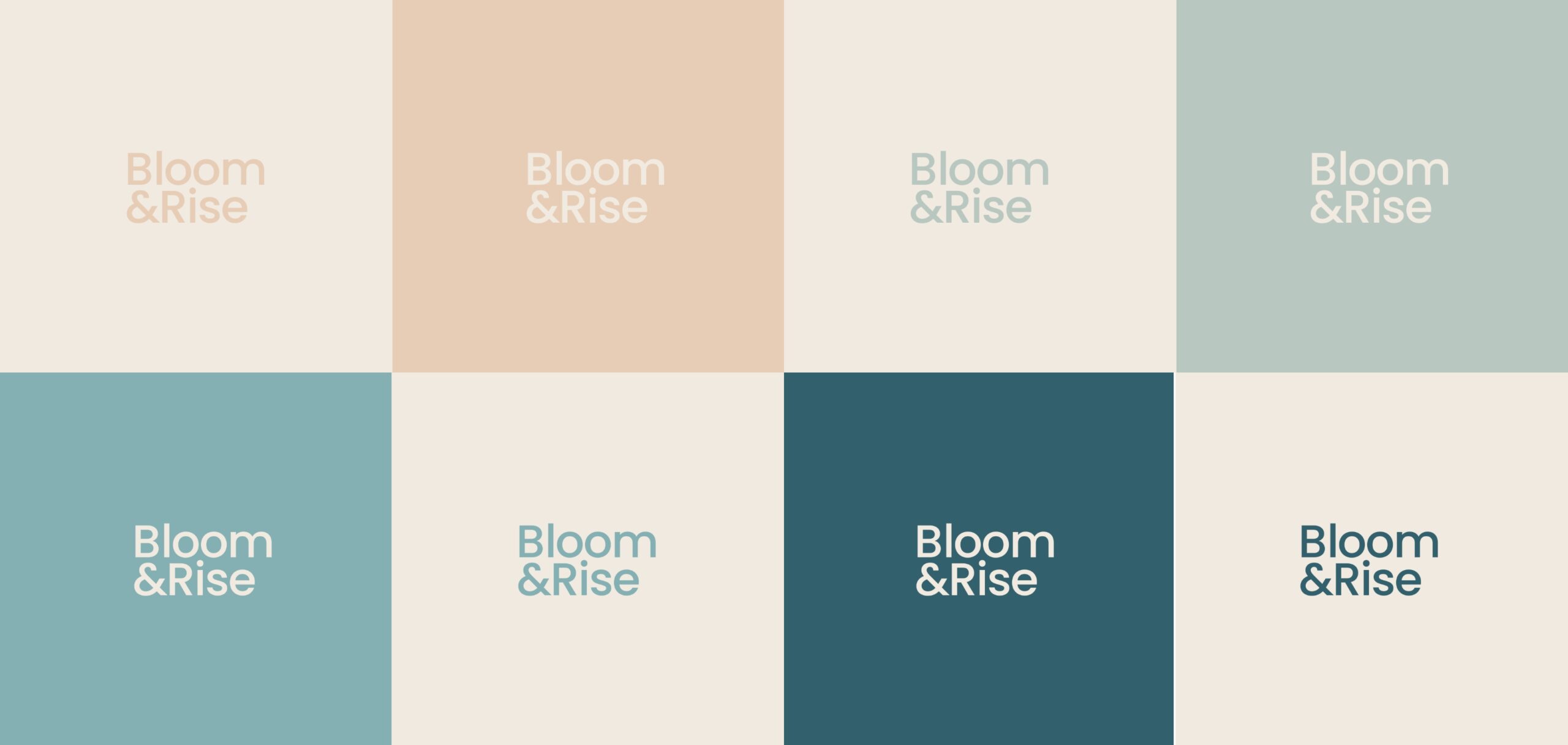 bloomandrise logos coloured scaled